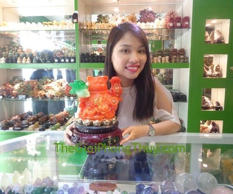 Chị Phương - Khách hàng mua Mèo đỏ ôm bắp cải FH429G