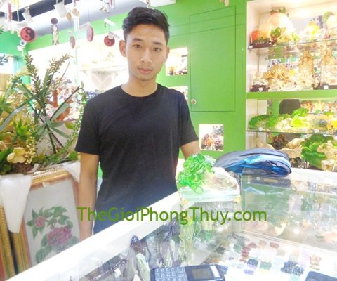 Anh Ninh - Khách Hàng mua Bắp cải lưu ly FH198G