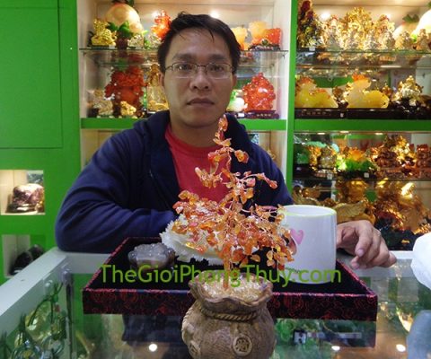 Anh Hậu - Khách hàng mua Cải phát tài bạch ngọc lớn FM161, Thiềm thừ ngọc tủy FTT-NT-F1-2639 và Cây tài lộc túi tiền chữ tài thạch anh trắng FKC096