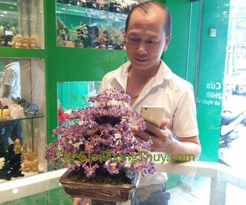 Anh Nhàn-Khách hàng mua Cây tài lộc kiểu mới pháo hoa thạch anh tím FKC070.