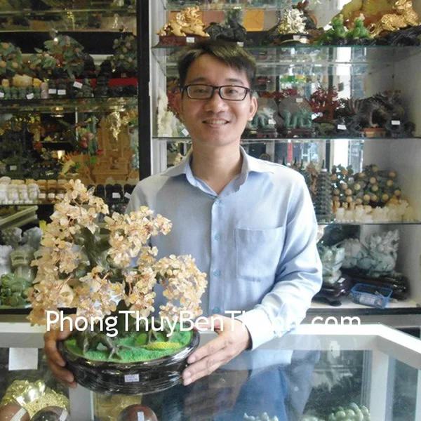 Anh Cao Hải - khách hàng mua cây tài lộc thạch anh vàng CA228