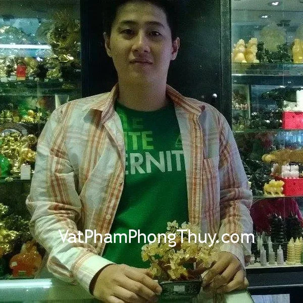 Anh Hùng - Khách mua cây thạch anh vàng nhỏ CA236