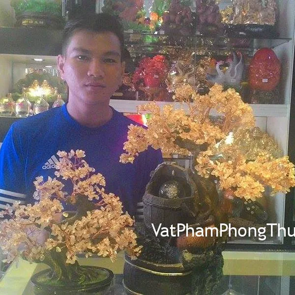Anh Trụ - khách hàng mua cây tài lộc đá thạch anh vàng CA220 và cây tài lộc đá thạch anh hồng K157