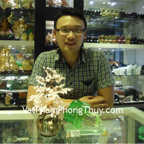 Anh Quân - khách hàng mua cây thạch anh hồng CA242 và bắp cải H198G