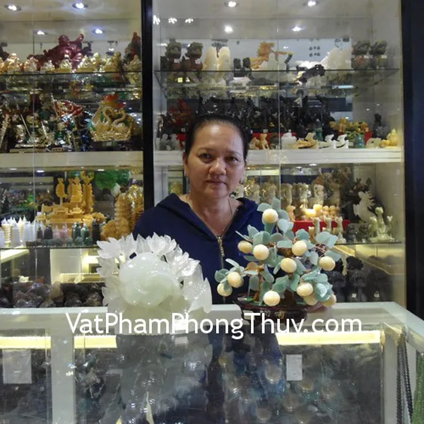Anh Linh - Khách hàng mua Cây tắc đá Hoàng long M075