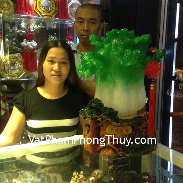 Chị Phương- khách hàng mua bắp cải xanh lớn trên đế cây bồ đề H191G