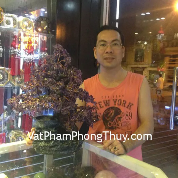 Vợ chồng chị Hồng- khách hàng mua cây thạch anh tím phong thủy luân HCA253