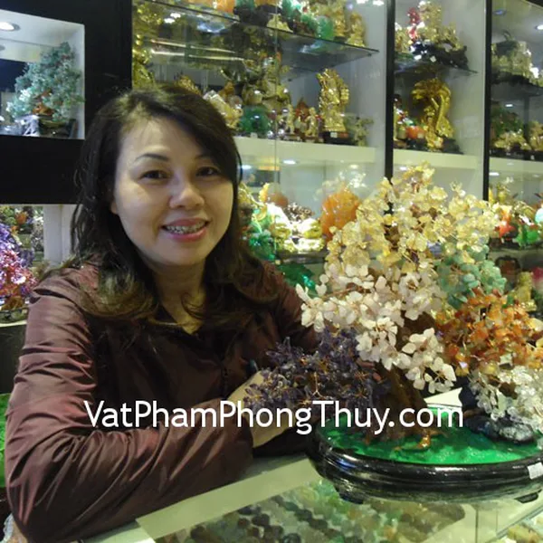 Chị Xuân - khách hàng mua cây tài lộc 6 màu HCA257