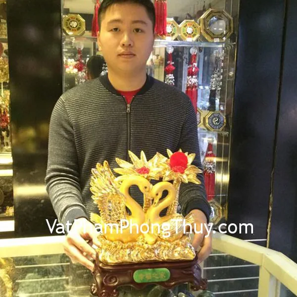 Anh Khánh- khách hàng mua thiên nga vàng A169