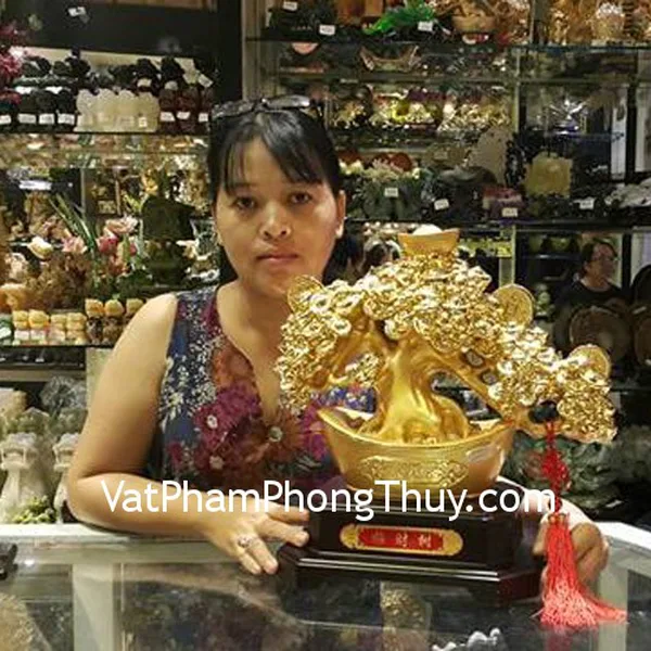 Chị Thanh - khách hàng mua cây nén vàng châu báu H509G