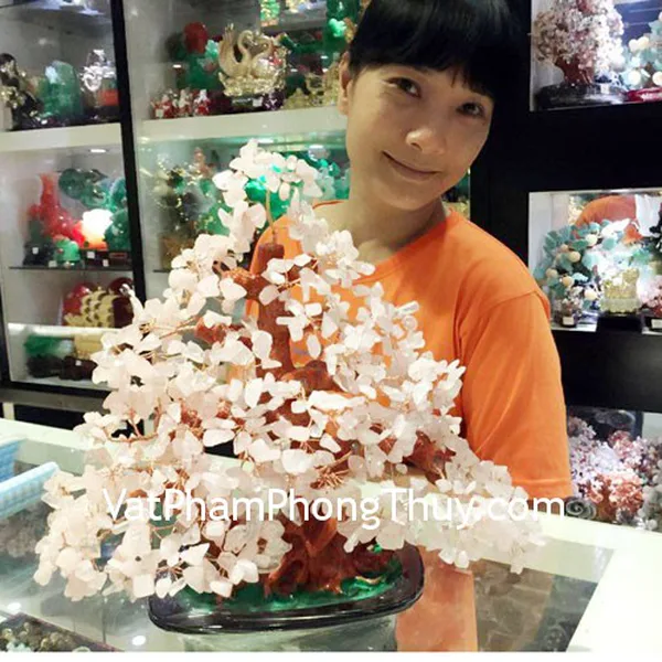 Chị Bằng - khách hàng mua cây tài lộc thạch anh hồng KC056