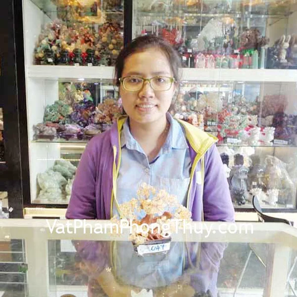 Chị Hoàng Anh - khách hàng mua Cây tài lộc thạch anh vàng mini KC047