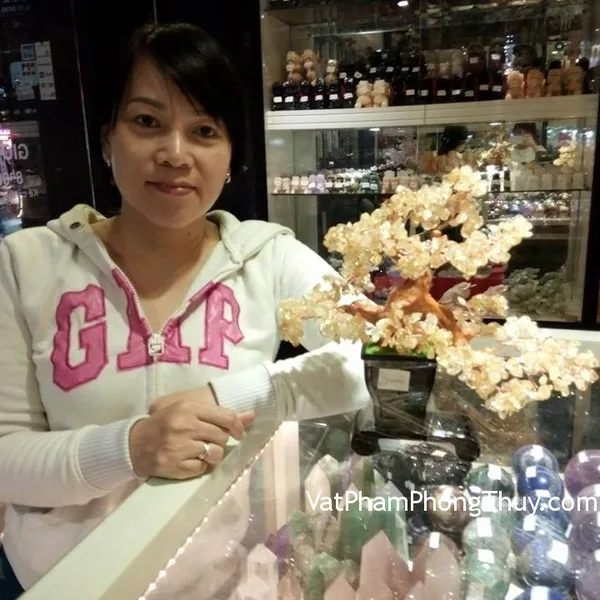 Chị Hồng - khách hàng mua cây tài lộc đá thạch anh vàng KC019