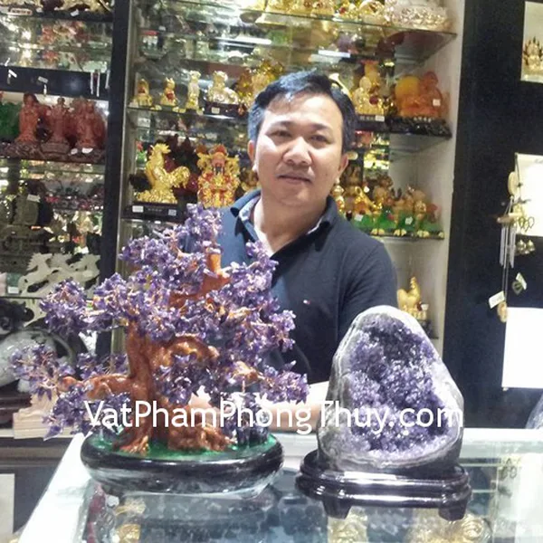 Anh Trí - Khách hàng mua cây tài lộc thạch anh tím KC032, bông thạch anh tím lớn H097-S3-16065, xâu 6 đế vương CC1135
