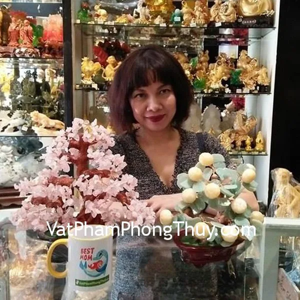Chị Vân Anh - khách hàng mua Cây tắc (Quất) đá hoàng long + ngọc xanh đông linh R068 và cây tài lộc thạch thạch anh hồng lớn KC056