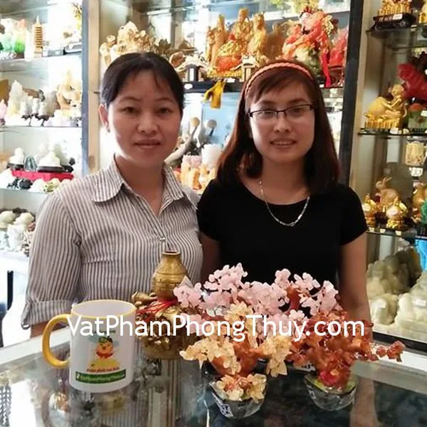 Chị Hương- Khách hàng mua Cây tài lộc thạch anh hồng mini KC050, hồ lô Bát tiên lớn D205 và Chuỗi thạch anh vàng đậm A Uruguay 21 hạt (21,4g) S6225-S3-1177