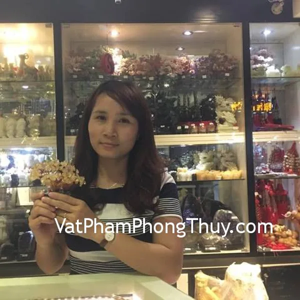 Chị Linh - khách hàng đã mua cây tài lộc thạch anh vàng KC057