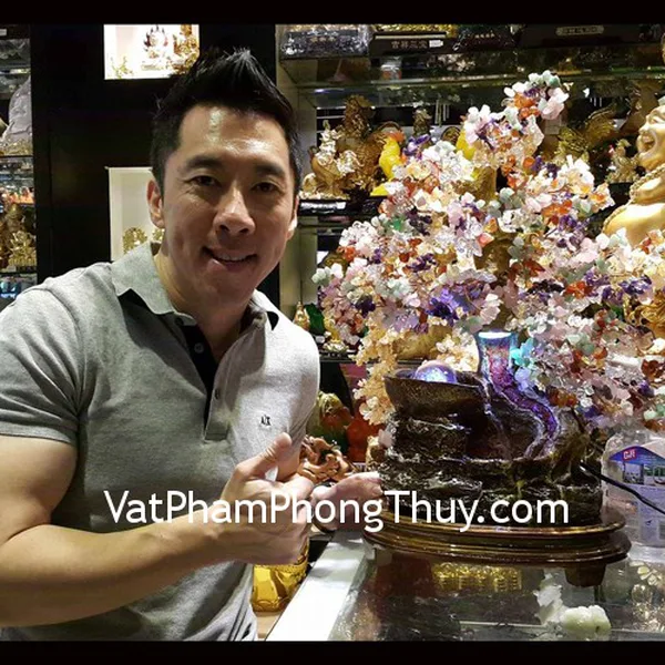 MR JOHN WONG - khách hàng mua cây tài lài lộc phong thủy luân nhiều màu KC063