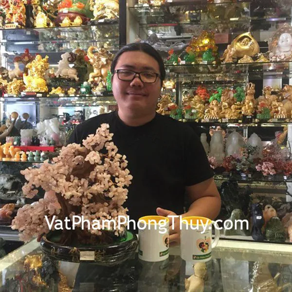 Anh Đạt- khách hàng  mua chuỗi ruby xanh đỏ S6244-S3-21795, cây tài lộc thạch anh hồng KC078, cây tài lộc thạch anh tím KC079 và hồ lô trơn nhỏ D206