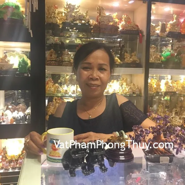 Cô Nguyệt - khách hàng mua cặp tỳ hưu bắc kinh đen chuẩn BKD-S, cây tài lộc thạch anh tím KC048, thiềm thừ ngọc tủy TT-NT-S5-1865, chuỗi mẫu đơn phỉ thúy A 10li S6404, chuỗi thạch anh tóc đỏ đồng A+ S6228-S5-1487, chuỗi hạt lựu A++ S6382-S5-1264, xâu tiền 10 xu CC2022 , đồng tiền hoa mai liền 5 cánh CC1139