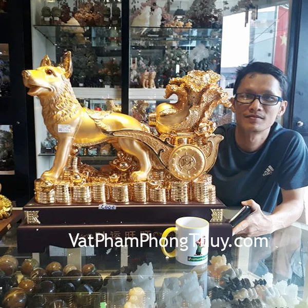 Anh Thịnh - khách hàng mua Chó vàng kéo bắp cải lớn C002A