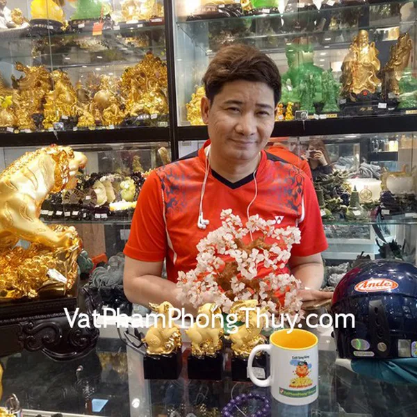 Anh Minh - khách hàng mua tượng 12 con giáp sa kim Hợi, Mẹo, Mùi C211A-4, C211A-8, C211A-12, cây tài lộc thạch anh hồng KC041 và chuỗi thạch anh tím S6361-S3-2860