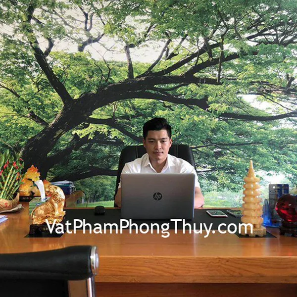 Anh Tùng- khách hàng mua Ấn rồng GM035,Tỳ hưu Bắc Kinh Đen BKD-M, Tháp văn xương GM057, hổ vàng trên núi C123A