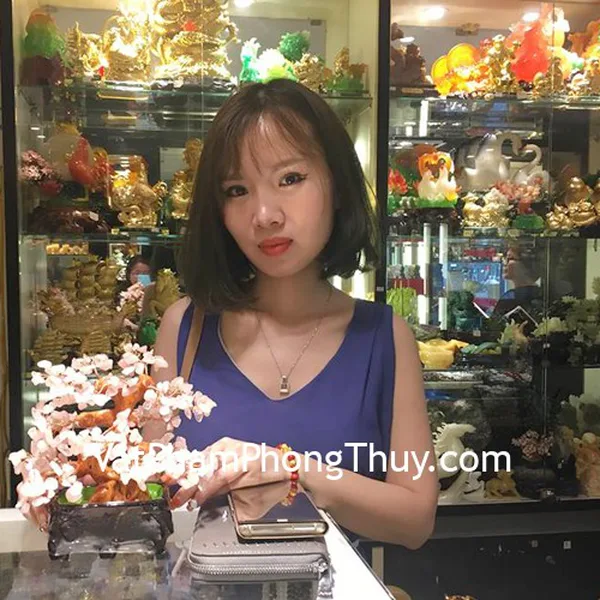 Chị Phương Anh- Khách hàng mua Cây tài lộc thạch anh hồng nhỏ KC045