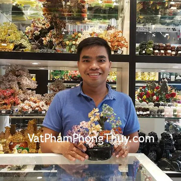 Anh Thịnh - khách hàng mua cây tài lộc thạch anh nhiều màu KC083