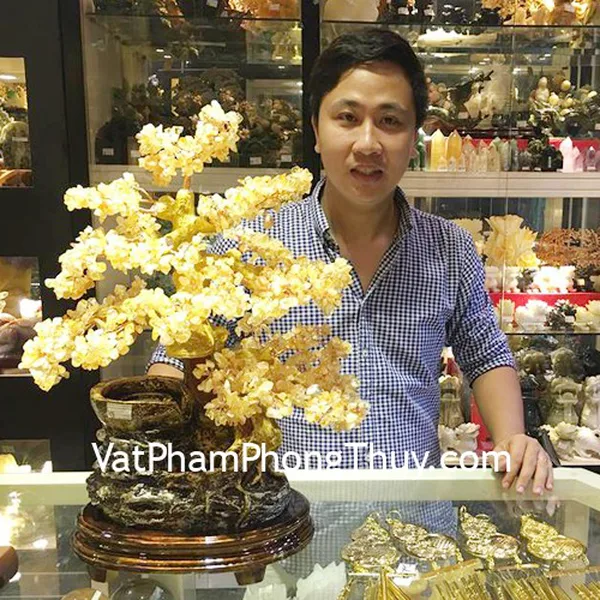 Anh Hải - khách hàng mua Cây thạch anh vàng phong thủy luân KC100, Chuông gió hồ lô đồng D257