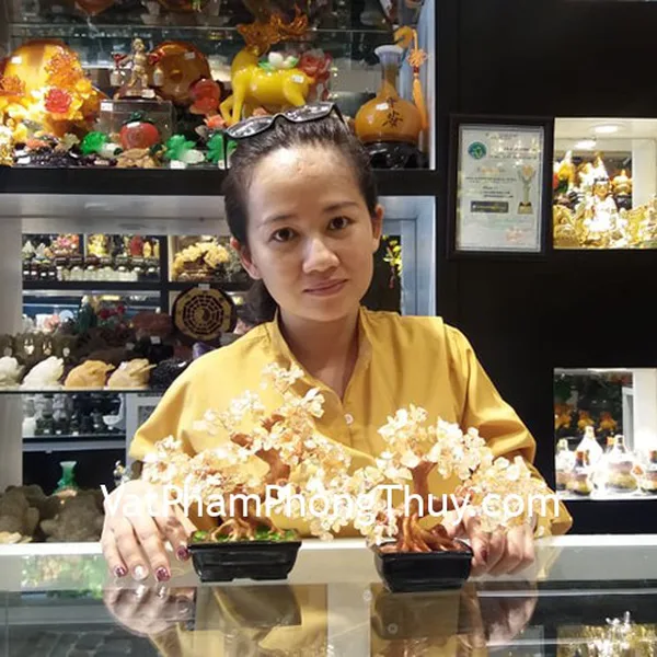 Chị Quyên - khách hàng mua cây tài lộc thạch anh vàng KC107 và KC108
