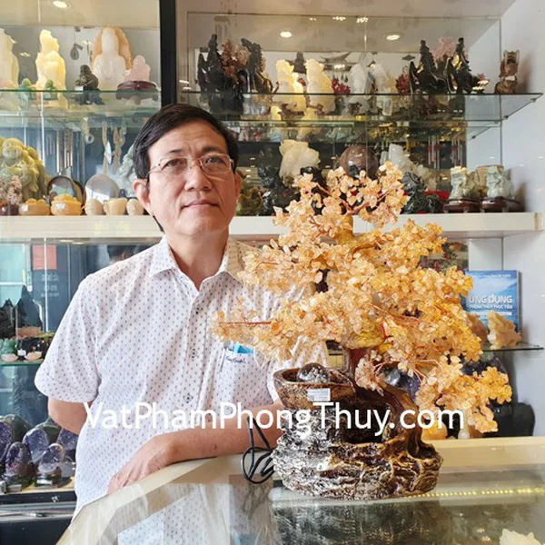 Chú Giám - khách hàng mua Cây phong thủy luân thạch anh vàng KC100