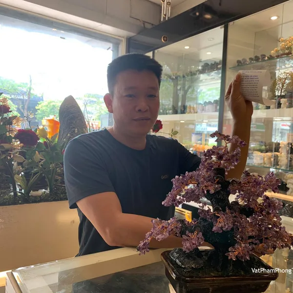 Anh Mạnh - Khách hàng mua Cây thạch anh tím lớn KC110.