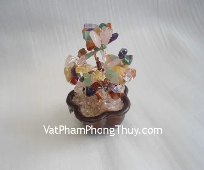 Cây tài lộc gốc đẹp đông linh(trung) KC081