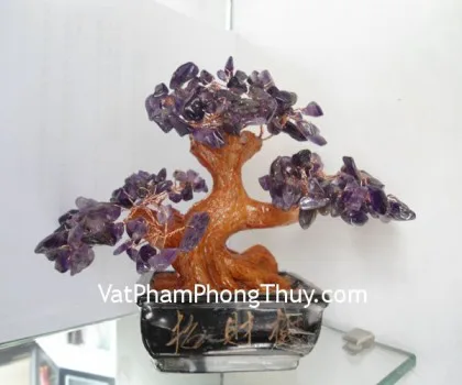 Cây đá mã não nhỏ chậu ngang CA234
