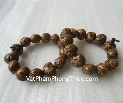 Chuỗi hổ phách hạt vàng trong A++ S6355-S2-8390