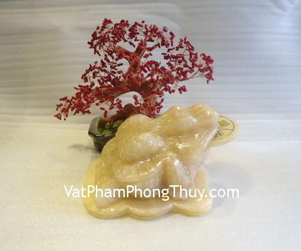 Thiềm thừ hoàng long, đồng tiền trục xoay trung M045