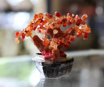 Cây tài lộc mã não siêu nhỏ KC062