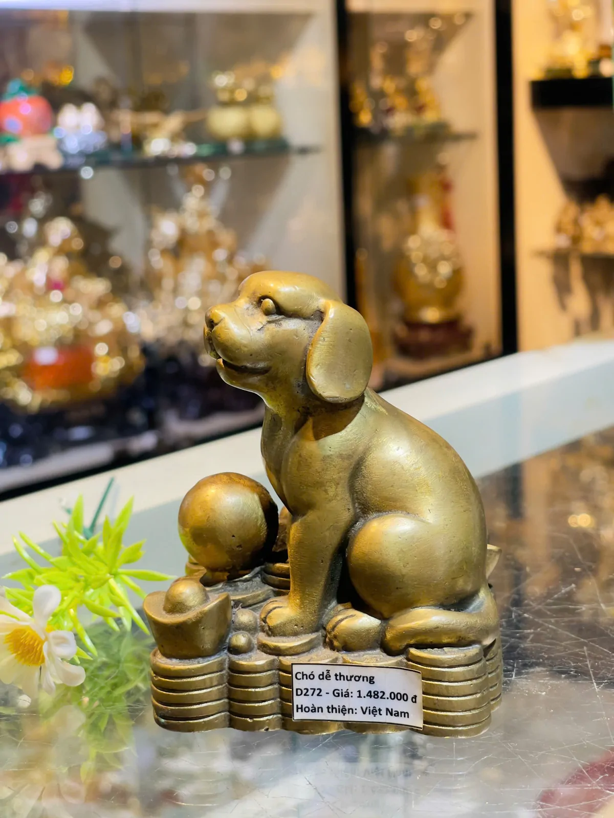 Chó dễ thương D272