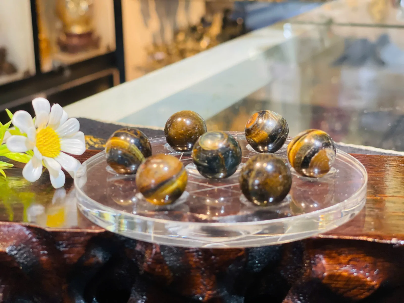 Đĩa thất tinh đá mắt mèo vân gỗ nhỏ GM088