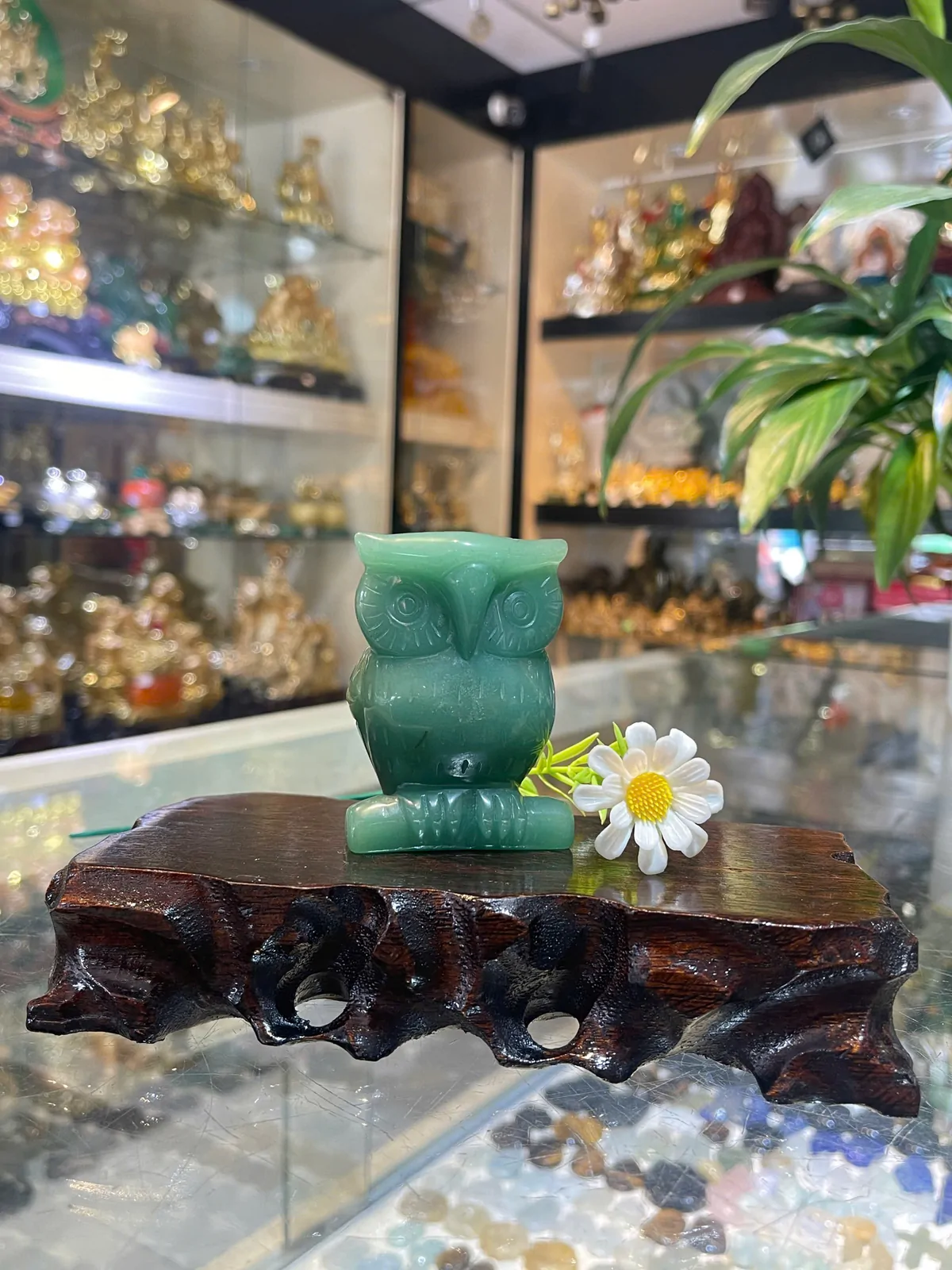 Cú mèo đông linh GM165