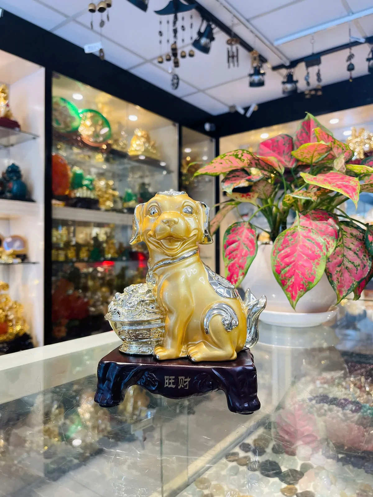 Chó vàng ôm bọc vàng - Chiêu tài C030A