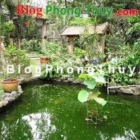 Không nên xem thường ao hồ trong Phong thủy