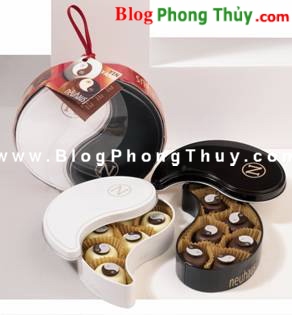 Âm Dương trong Khoa Học Phong Thủy