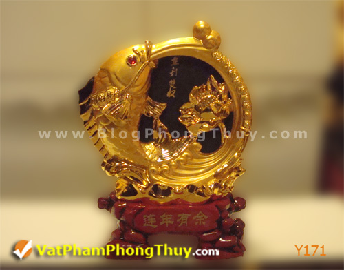 Cá Phong Thủy – biểu tượng của sự may mắn, giàu sang với hơn 20 kiểu dáng đẹp