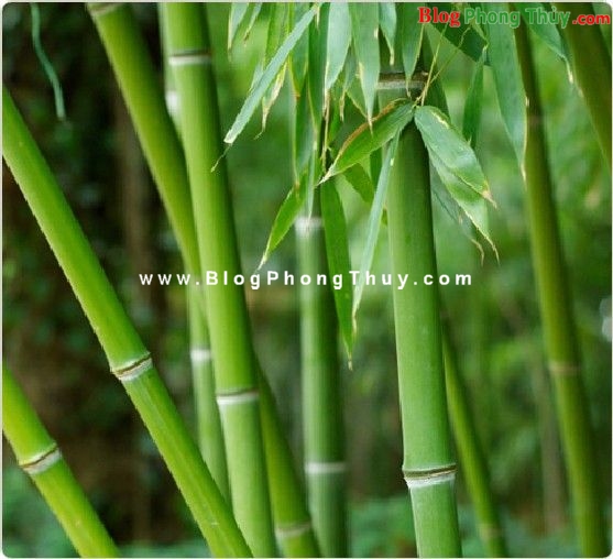 3 bước mang lại tài lộc, may mắn