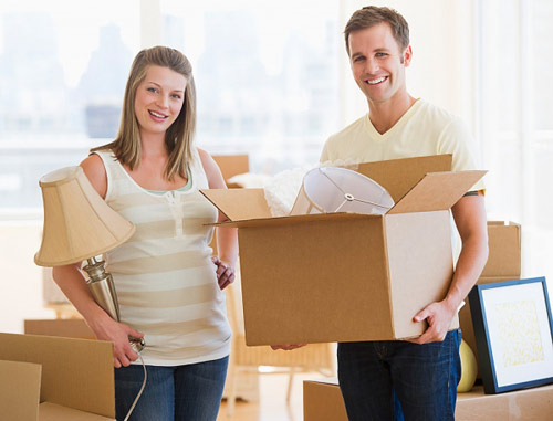 Hàm số tổng hợp các vận mệnh
