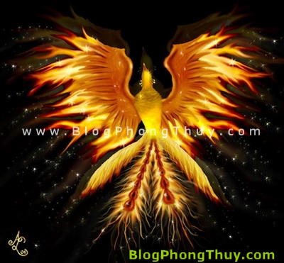 Phượng Hoàng ( Chim Phụng ) – loài chim của ngũ hành trong phong thủy