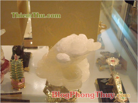 Thiềm Thừ Tây Tạng, linh vật phong thủy số 2 sau Tỳ Hưu Bắc Kinh