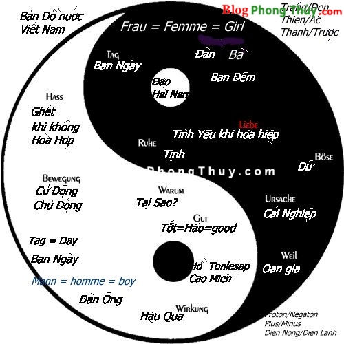 Âm và Dương
